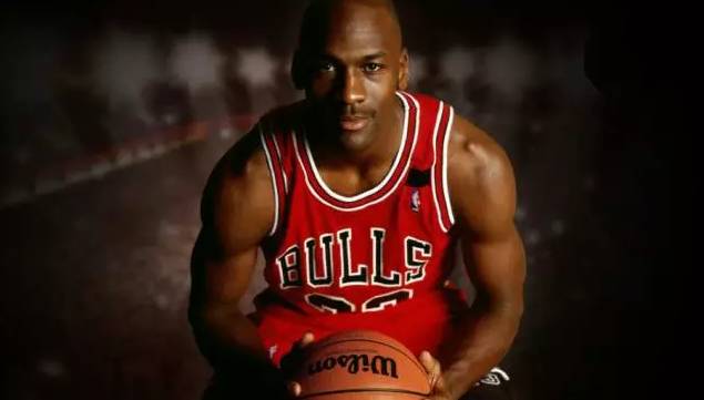 的观赏性和 的观赏性和